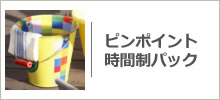 ピンポイント(時間制)パック